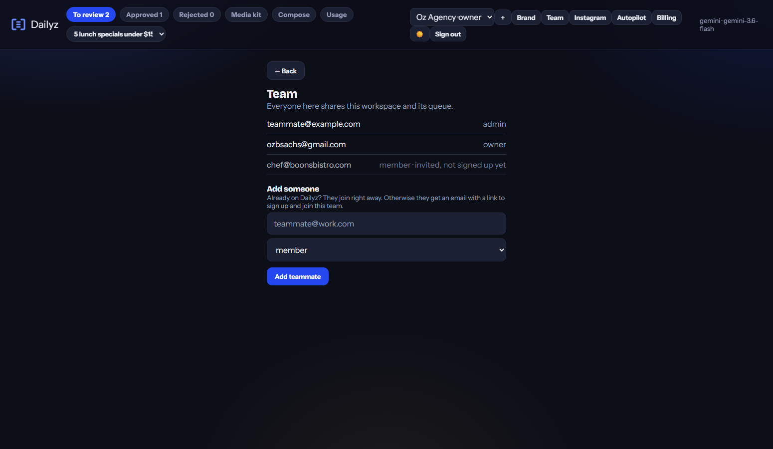 The Team panel: members of the workspace with their roles, a pending invite, and the form to add a teammate by email.